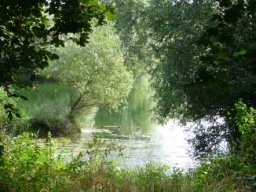 Baggersee Hirschau