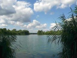 Baggersee Hirschau