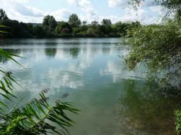 Baggersee Hirschau