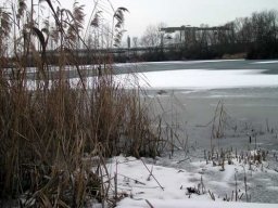 Baggersee Hirschau