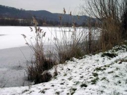 Baggersee Hirschau