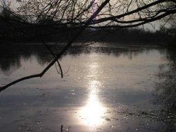 Baggersee Hirschau