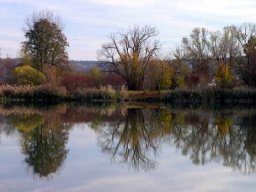 Baggersee Hirschau