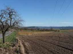 Januarspaziergang