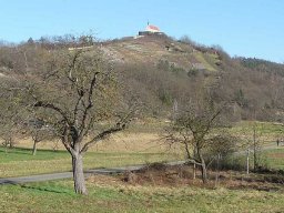 Januarspaziergang