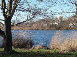 Januarspaziergang