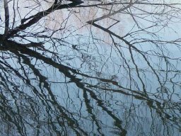 Januarspaziergang