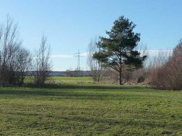 Januarspaziergang