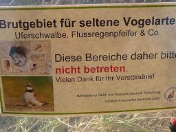 Januarspaziergang