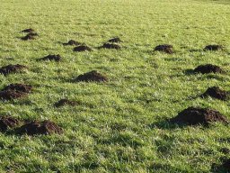 Januarspaziergang