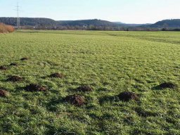 Januarspaziergang