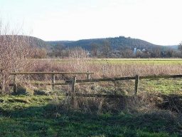 Januarspaziergang