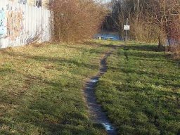 Januarspaziergang