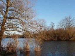 Januarspaziergang