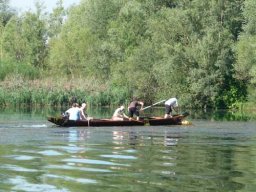 See-Entkrautung Hirschau