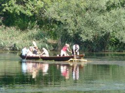 See-Entkrautung Hirschau