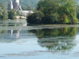 See-Entkrautung Hirschau