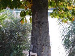 Baggersee Hirschau