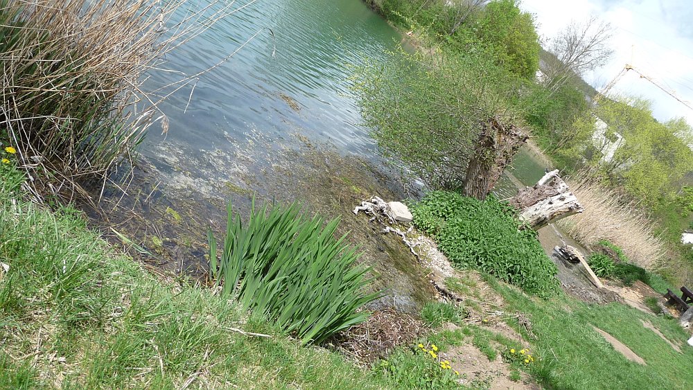 Ufer Erosion Hirschau