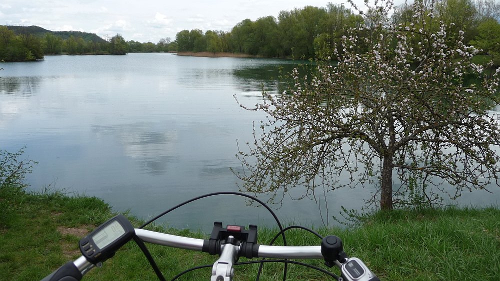 Ufer West Epple-See