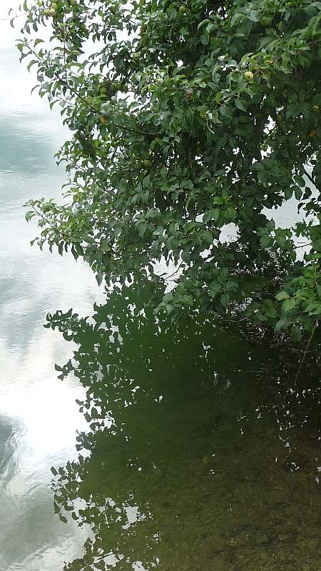 Wasser Aepfel