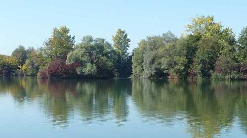 Insel im Baggersee Hirschau