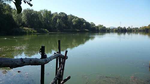 Einstieg Baggersee Hirschau