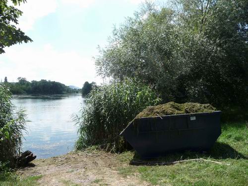 Ergebnis der Reinigung in Hirschau
