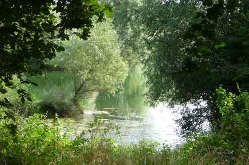 Zartes Grün Tübinger See