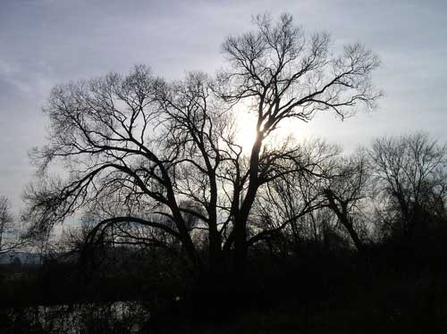 Eisiger See Hirschau