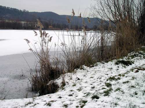 Eisdecke Epple Baggersee