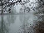 Tübingen Baggersee im Nebel Tübingen Baggersee im Nebel