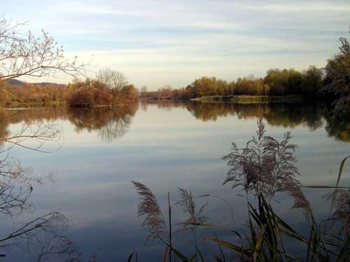Fernblick Baggersee Hirschau-Tübingen