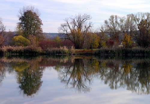 Neckarufer See Hirschau