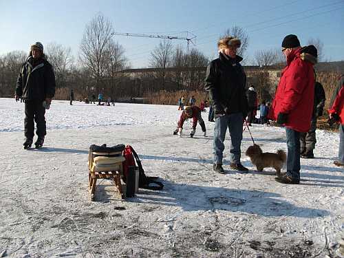 Schlitten und  Hund auf dem Baggersee