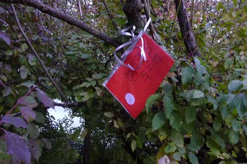 Poesie Hirschauer Baggersee