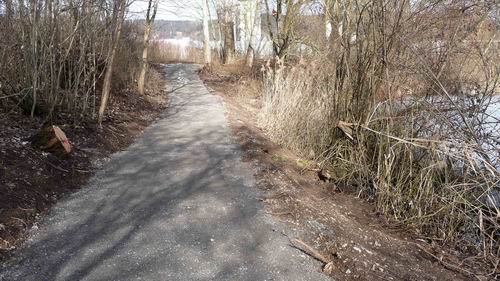 Nordufer Hartmann Baggersee