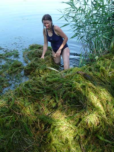 Pflanzen rausholen Baggersee