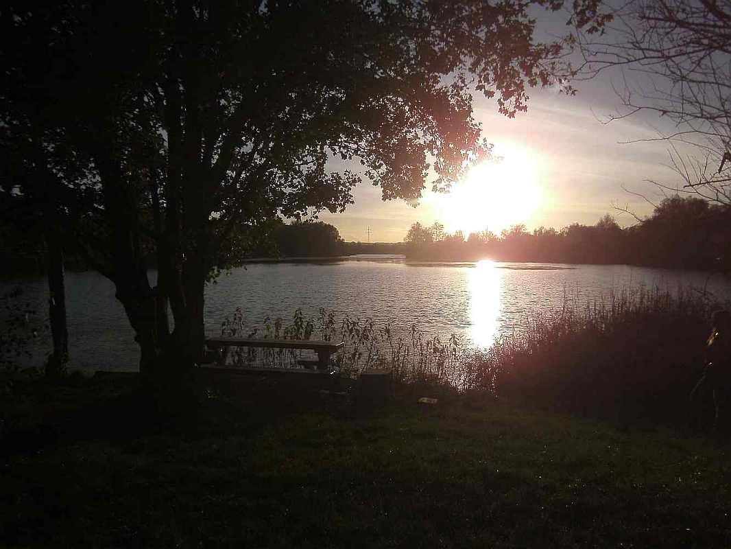 Hirschauer See Abendlicht Bank am See in Hirschau