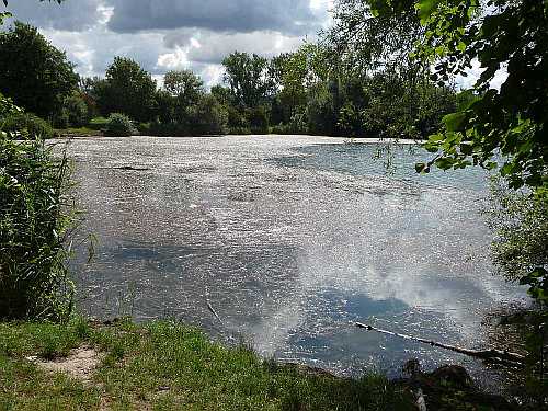 Einsteig Nord Seegrasteppich Einsteig Nord Seegrasteppich