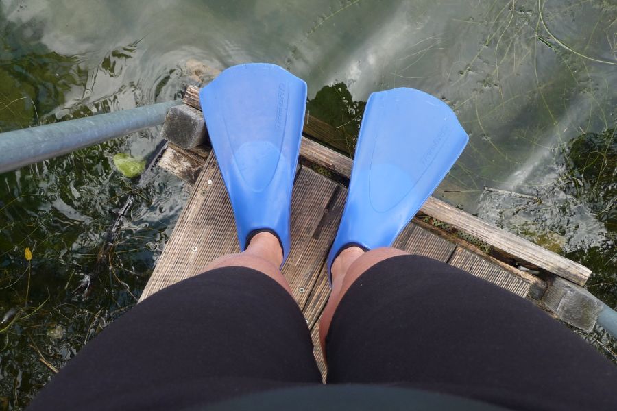 Flossen Schreiber Baggersee