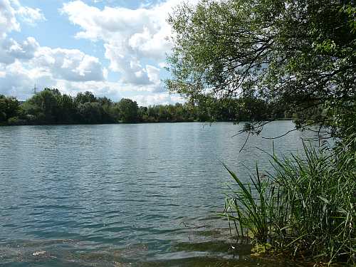 Freie Seefläache Hirschauer Baggersee Freie Seefläache Hirschauer Baggersee