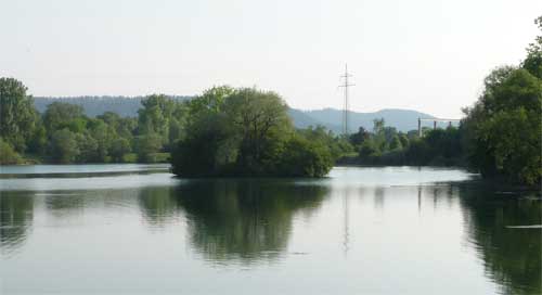 Insel im Baggersee Hirschau Insel im Baggersee Hirschau