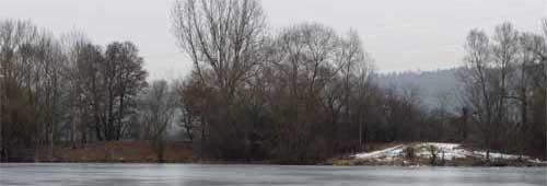 Baggersee Hirschau Bäume fällen