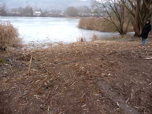 Sichtschneisen am Baggersee