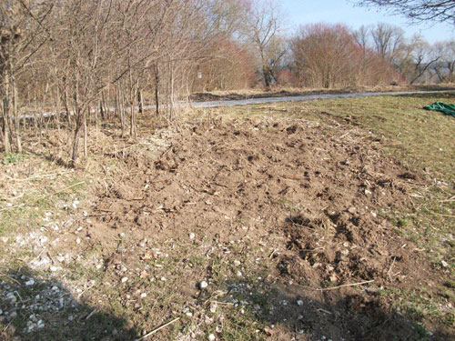 Fahrschneise am Hirschauer See