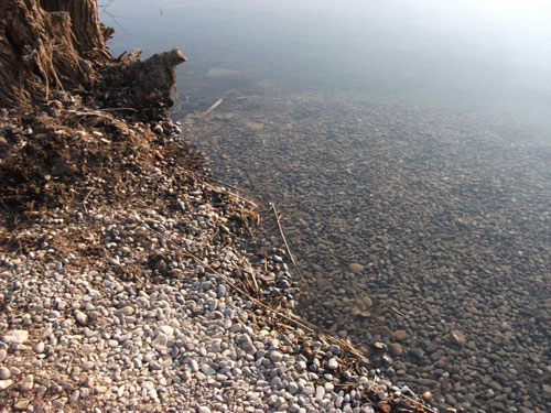 Laichstelle mit Kies am Baggersee Hirschau